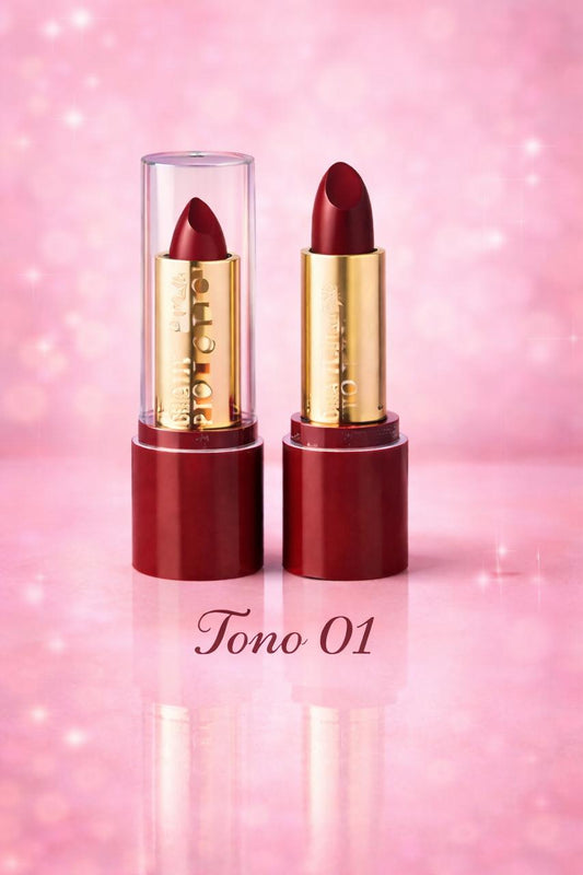 Labial en Barra Lip Stick